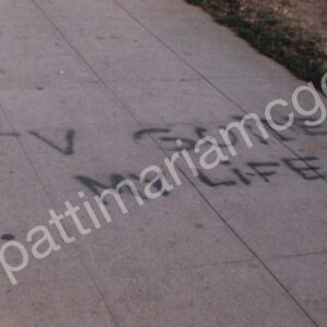 TV Guides My Life – Venice Beach, CA